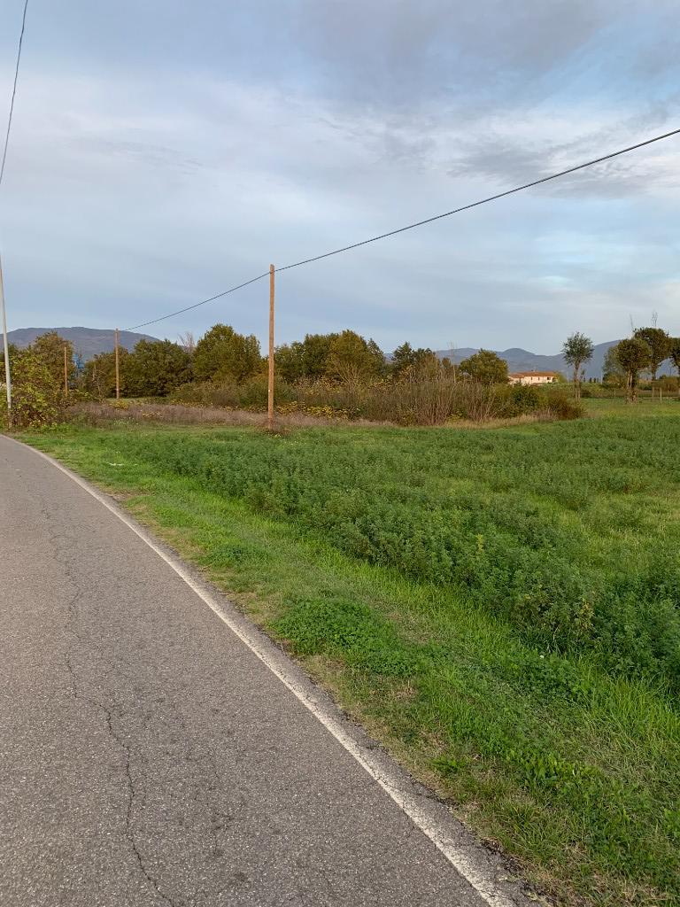 immagine annuncio 1 di 6