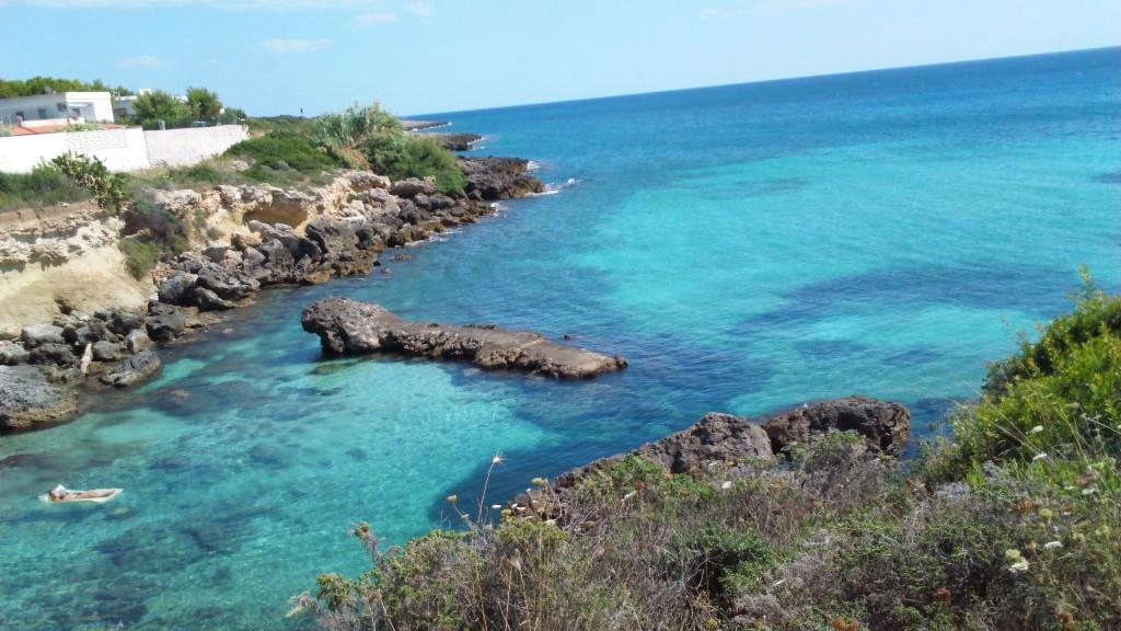 immagine annuncio 5 di 7