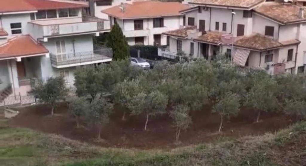 immagine annuncio 4 di 6