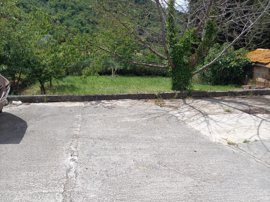 immagine annuncio 2 di 3