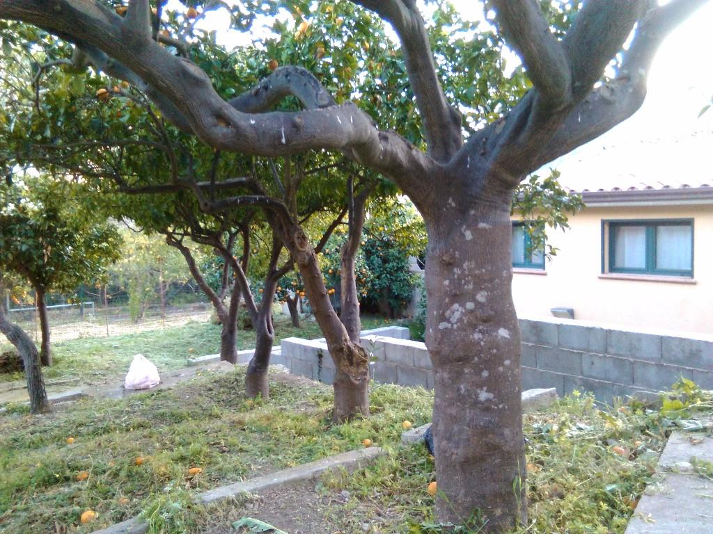 immagine annuncio 6 di 7