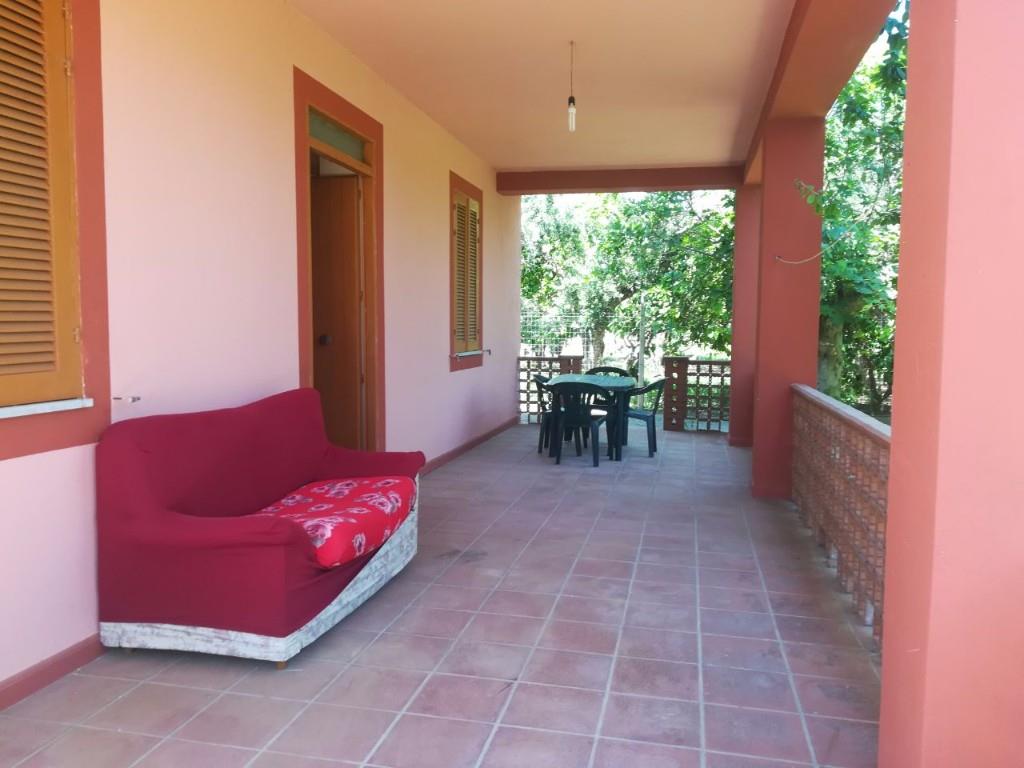 immagine annuncio 1 di 7