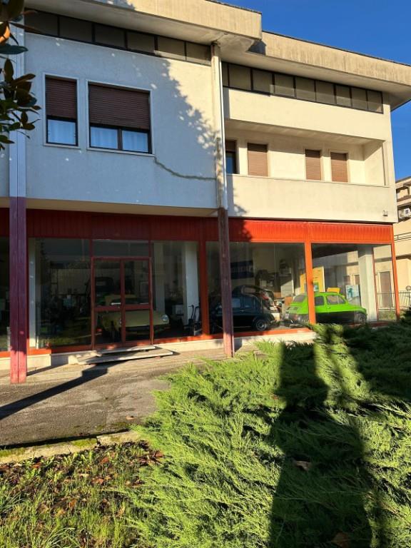 immagine annuncio 4 di 7