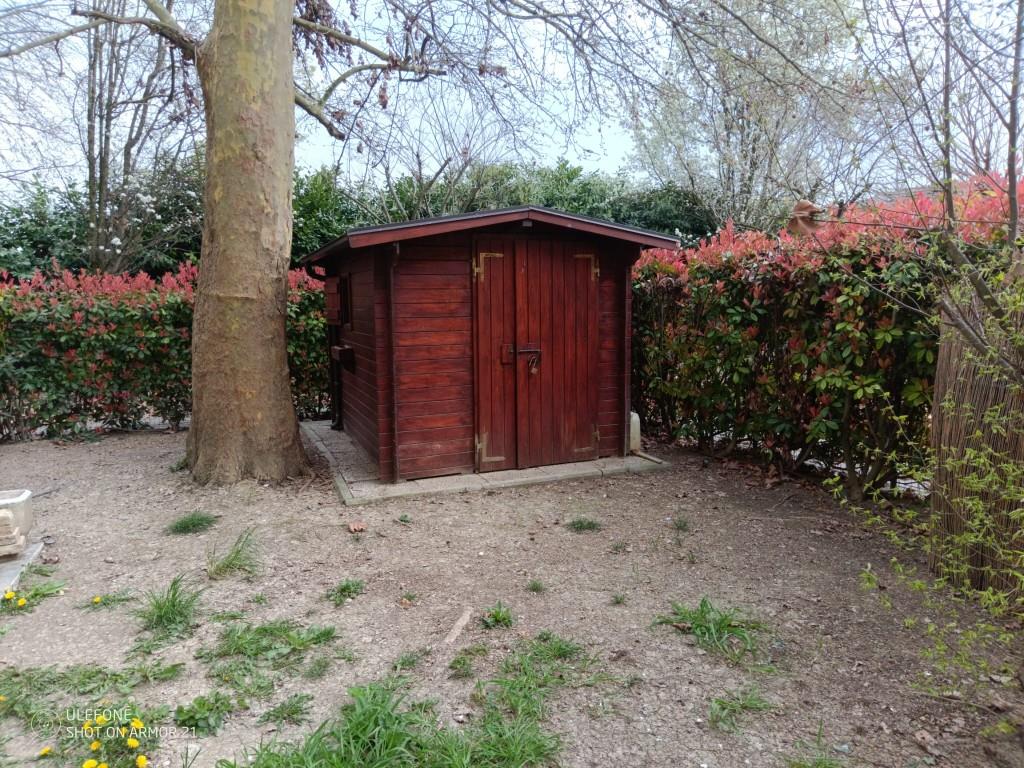 immagine annuncio 6 di 7