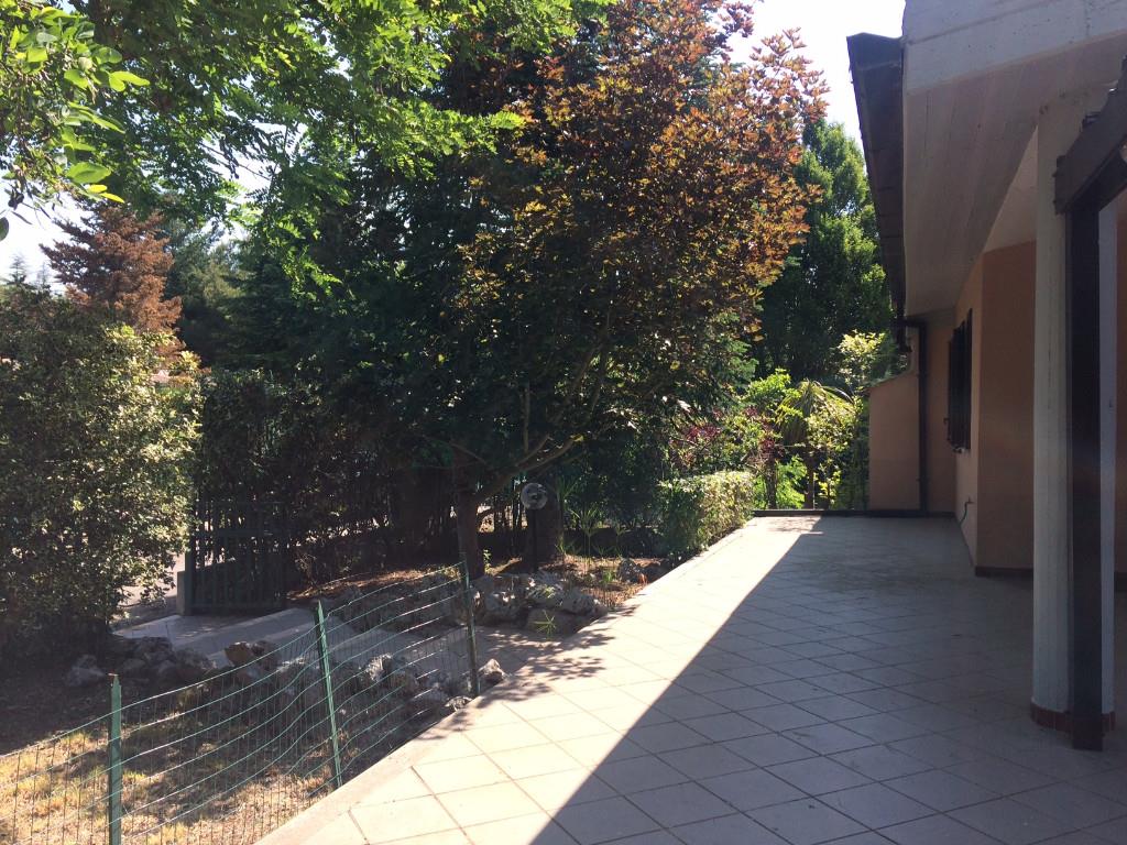 immagine annuncio 3 di 7