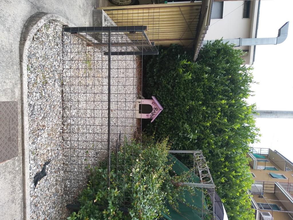 immagine annuncio 4 di 7
