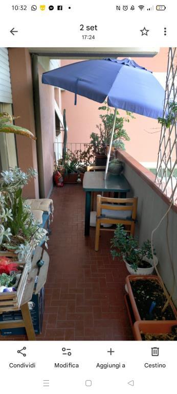 immagine annuncio 4 di 7