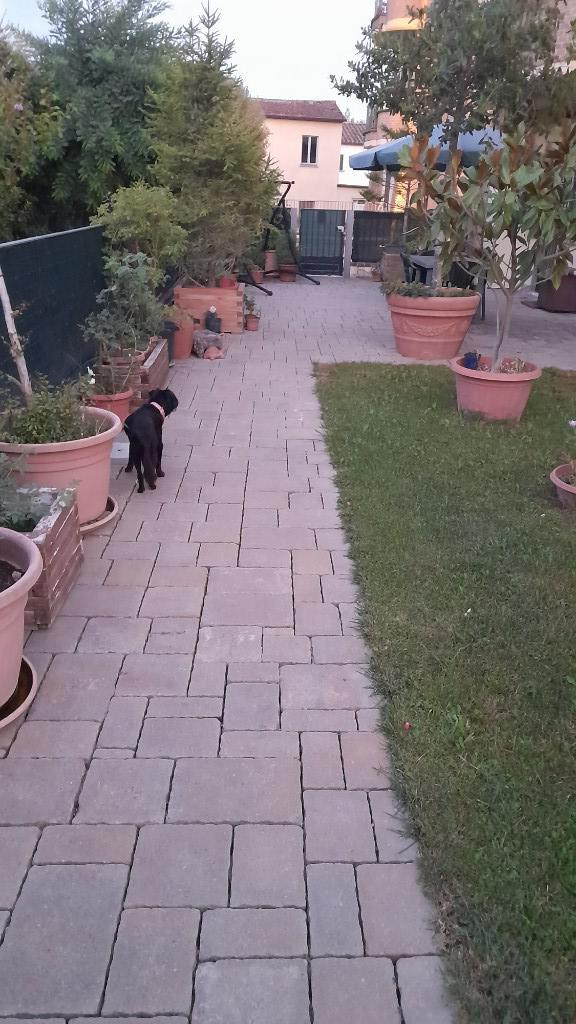 immagine annuncio 1 di 4