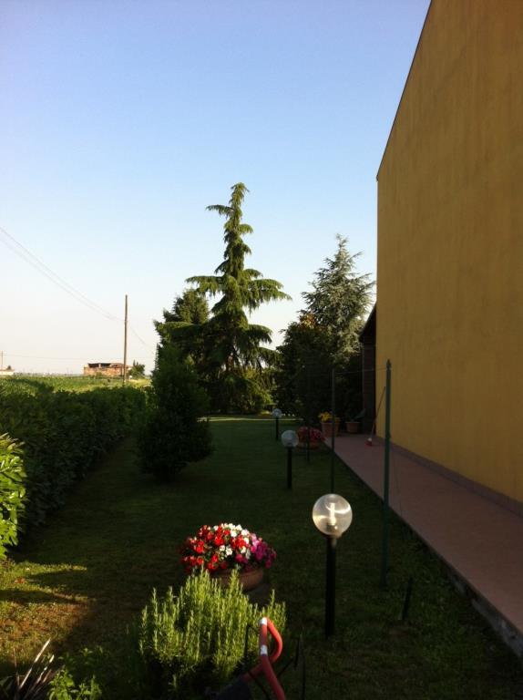 immagine annuncio 6 di 7