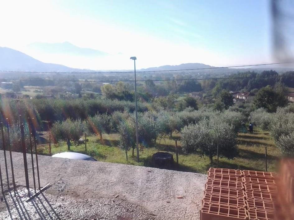 immagine annuncio 4 di 7