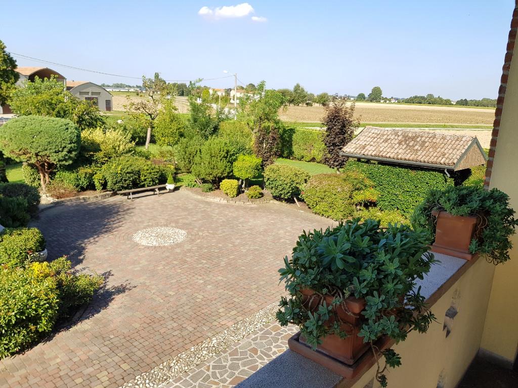 immagine annuncio 4 di 7