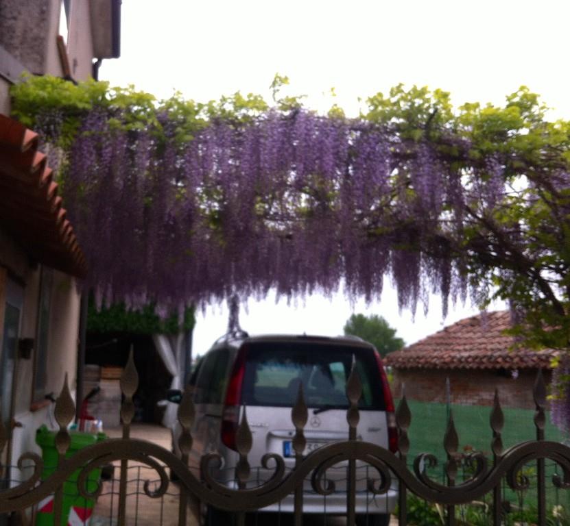 immagine annuncio 2 di 7