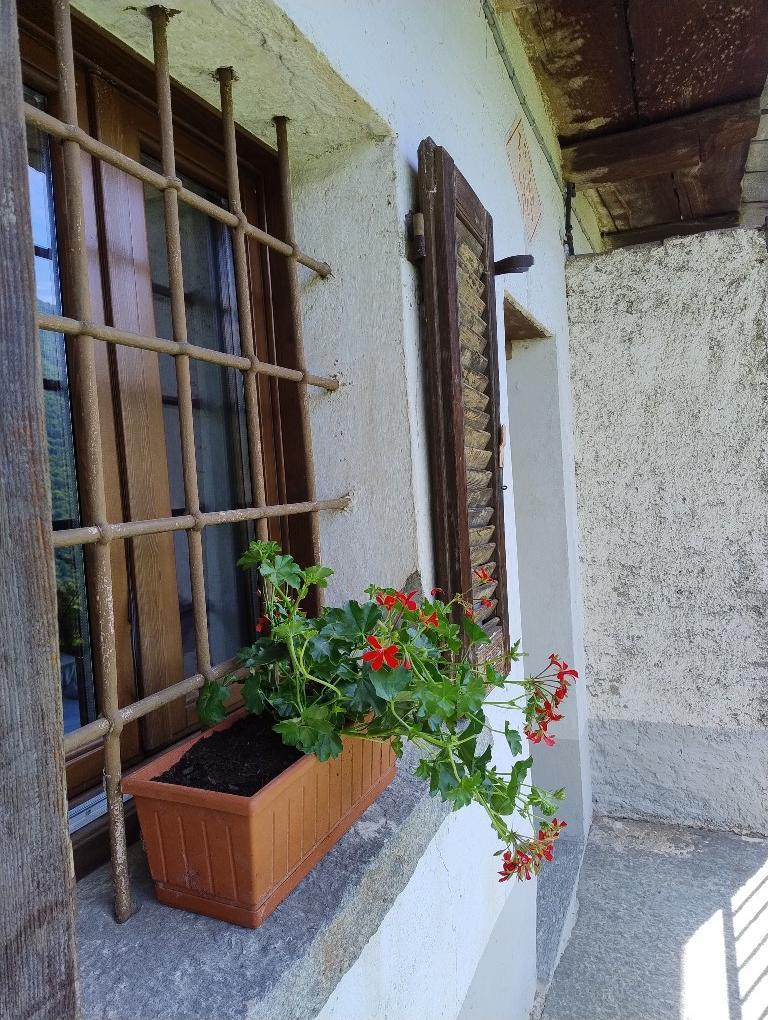 immagine annuncio 1 di 7