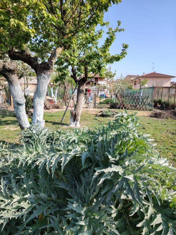 immagine annuncio 5 di 7