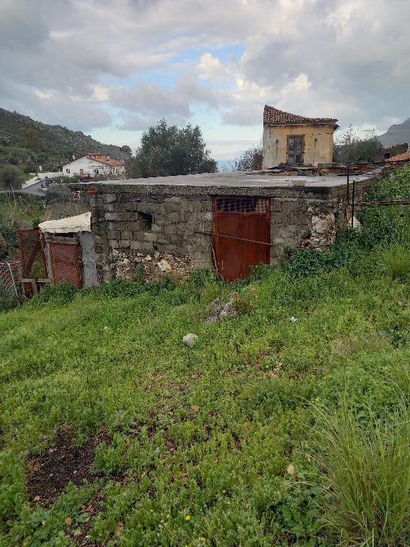 immagine annuncio 4 di 6