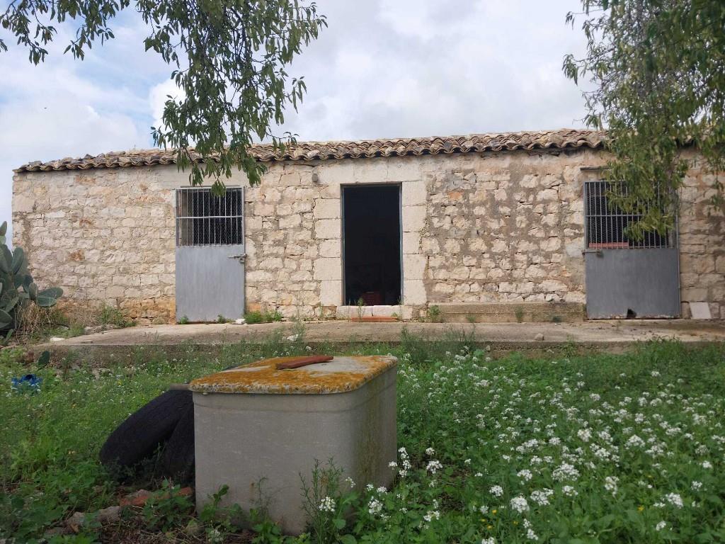 immagine annuncio 4 di 7