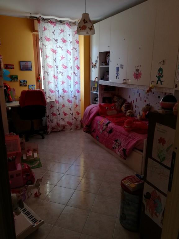immagine annuncio 3 di 7