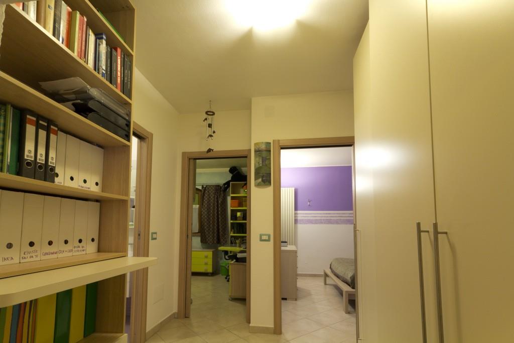 immagine annuncio 3 di 7