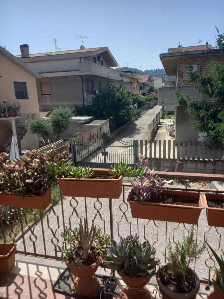 immagine annuncio 3 di 7