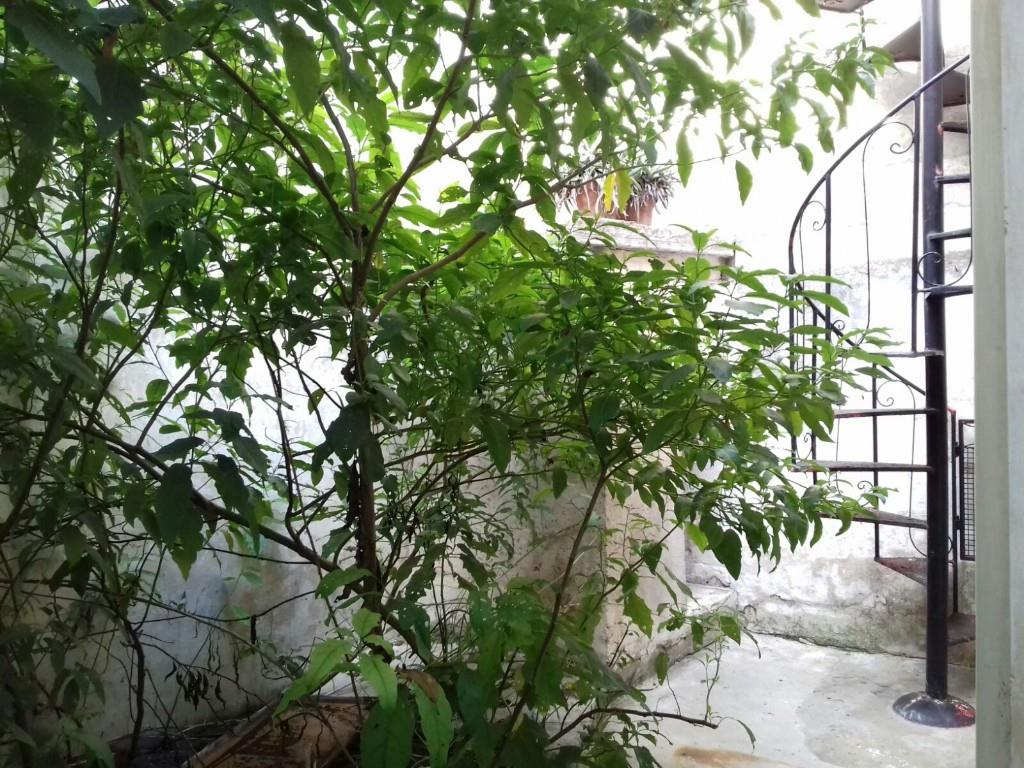 immagine annuncio 5 di 7