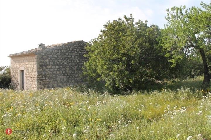 immagine annuncio 5 di 6