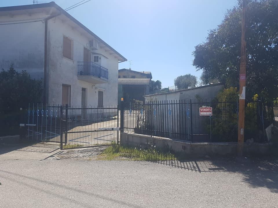 immagine annuncio 5 di 7