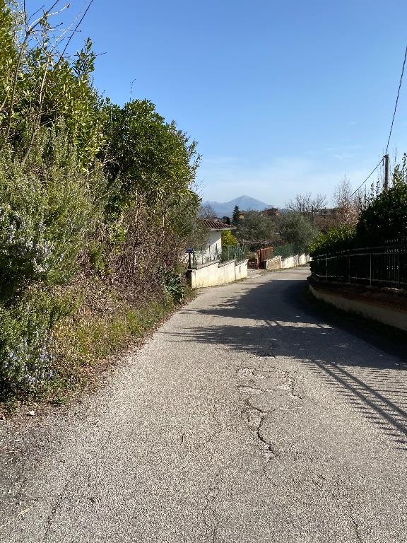 immagine annuncio 5 di 7