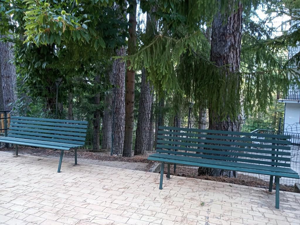 immagine annuncio 5 di 7