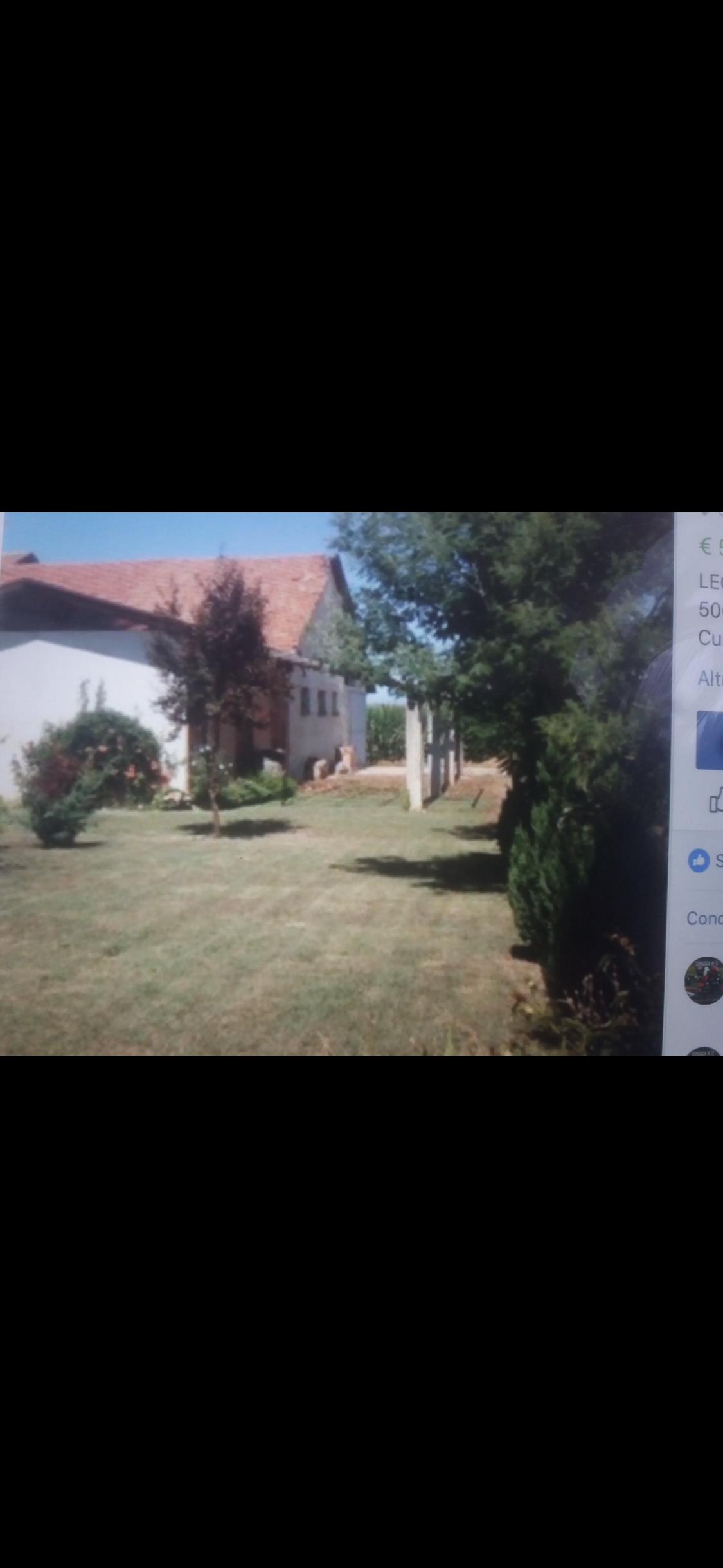 immagine annuncio 2 di 7