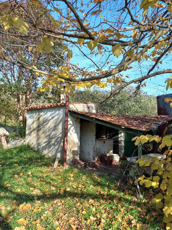 immagine annuncio 3 di 6