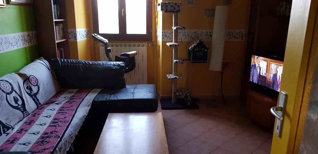 immagine annuncio 1 di 7