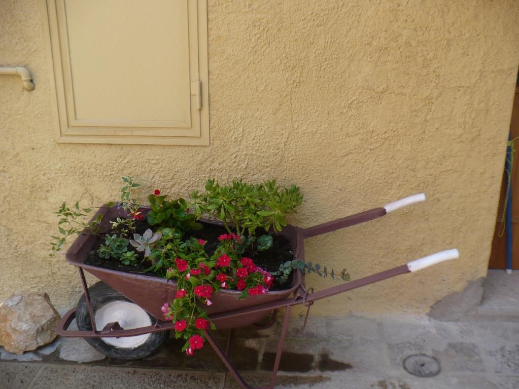 immagine annuncio 1 di 4