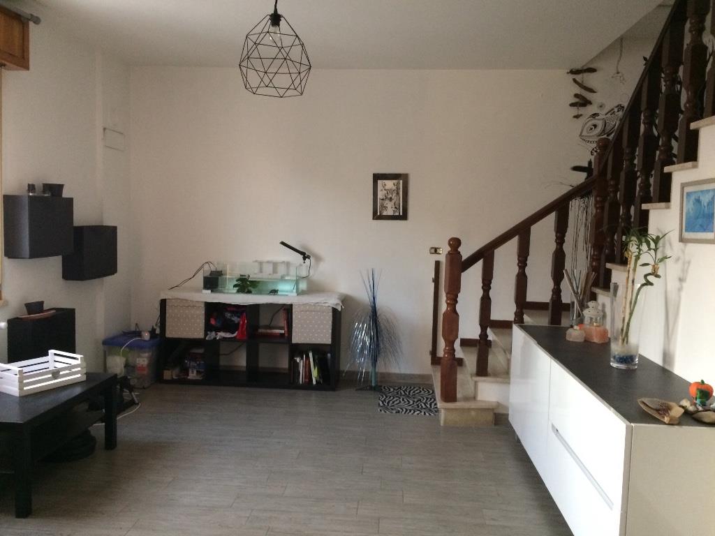 immagine annuncio 5 di 7
