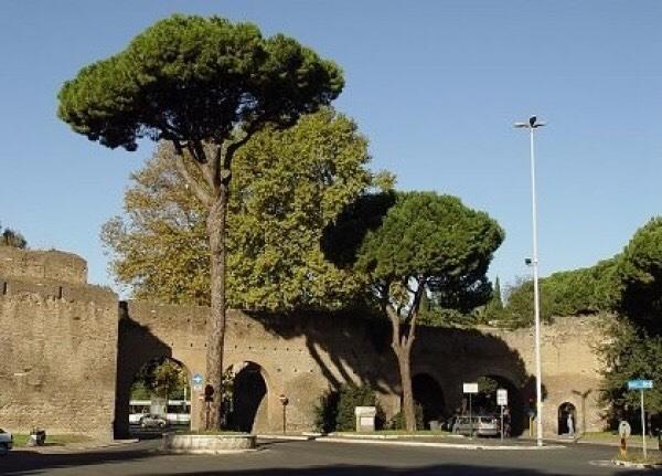 immagine annuncio 6 di 7