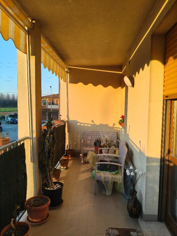 immagine annuncio 5 di 7