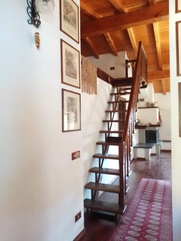 immagine annuncio 3 di 7