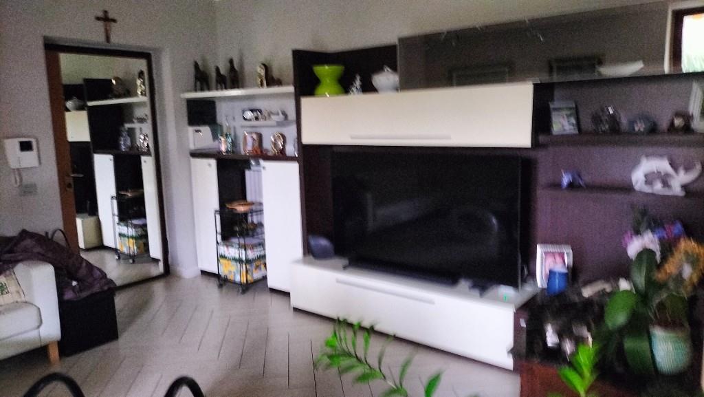 immagine annuncio 3 di 7