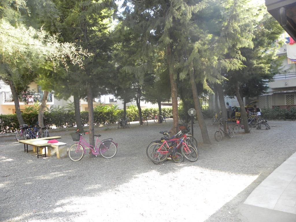 immagine annuncio 4 di 7