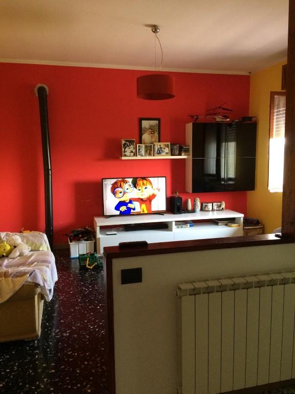 immagine annuncio 5 di 7