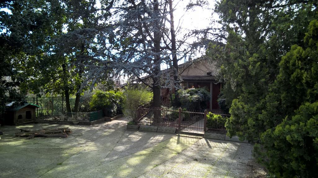 immagine annuncio 1 di 7