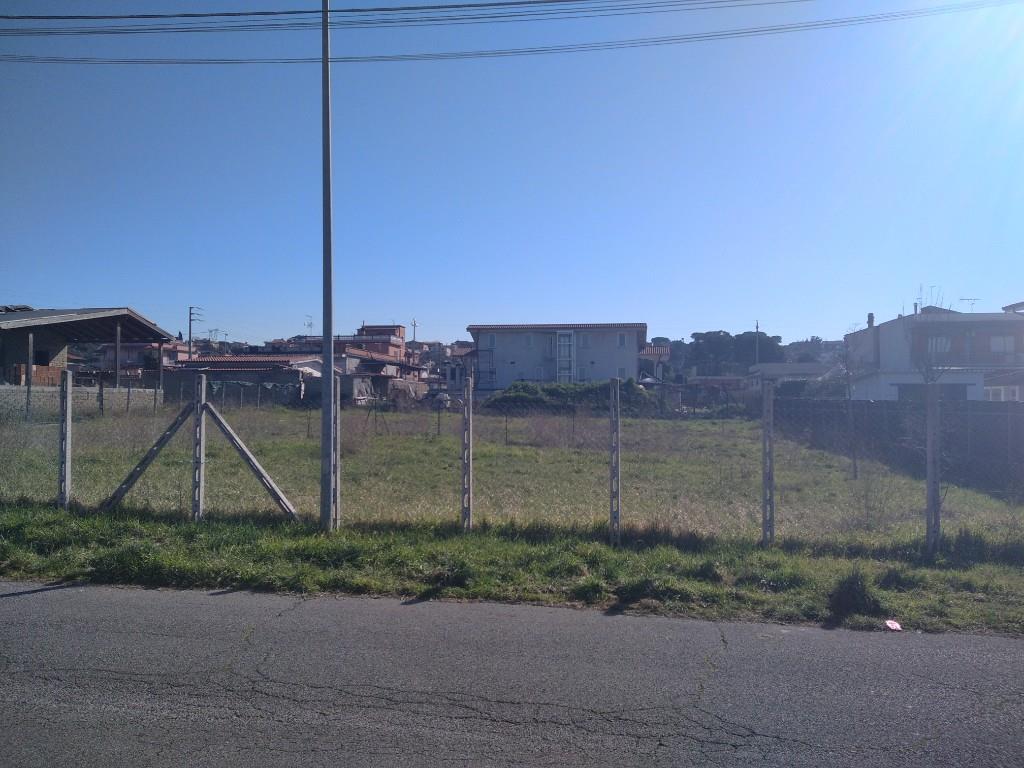 immagine annuncio 2 di 4