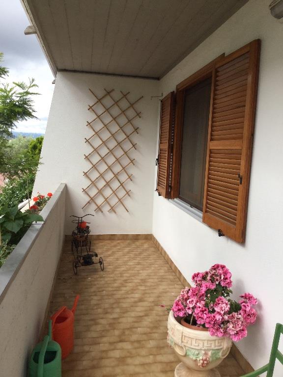 immagine annuncio 4 di 6
