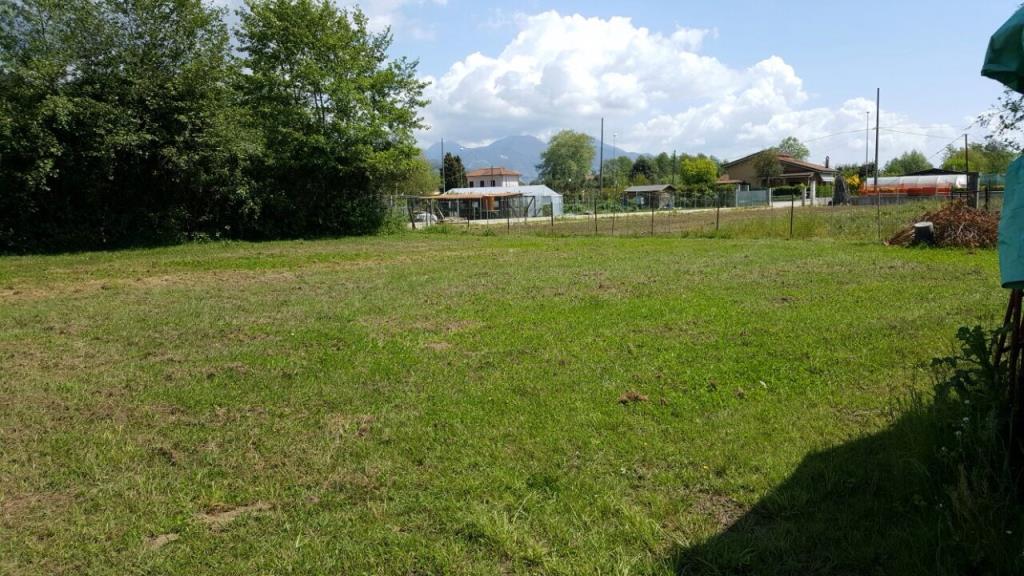 immagine annuncio 3 di 6