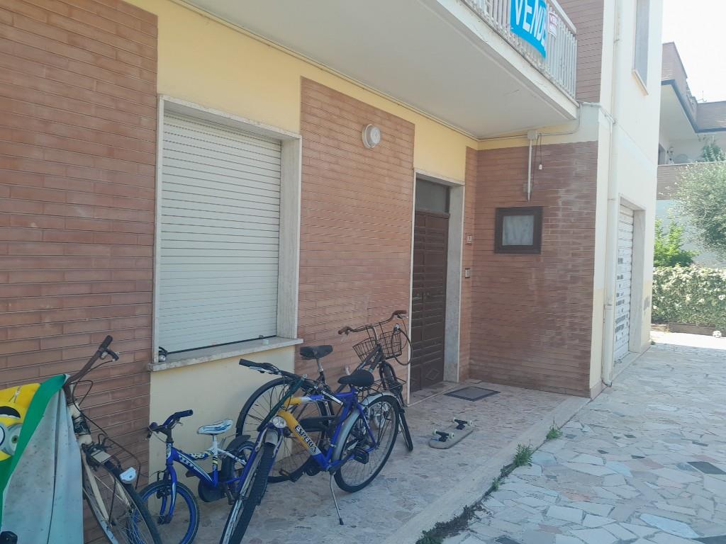 immagine annuncio 2 di 6