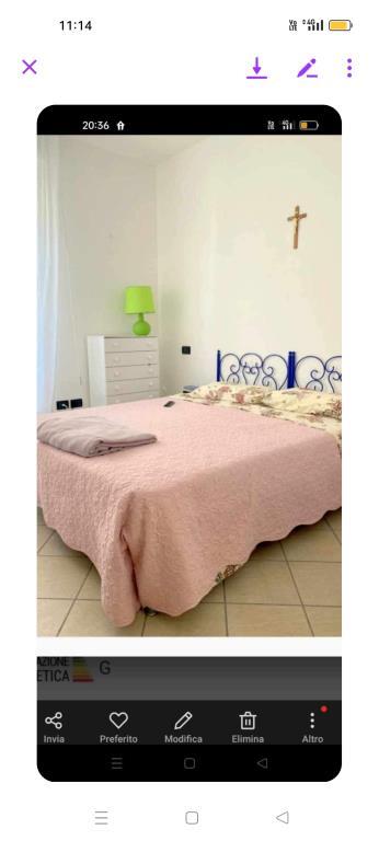 immagine annuncio 6 di 7