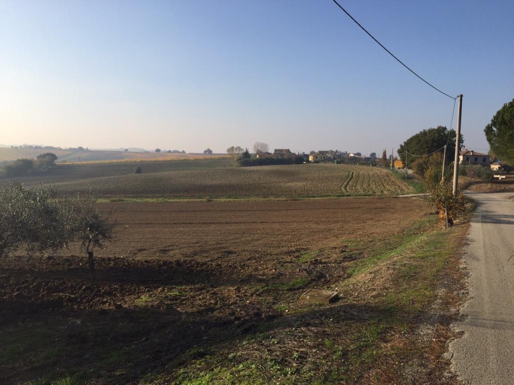 immagine annuncio 4 di 7