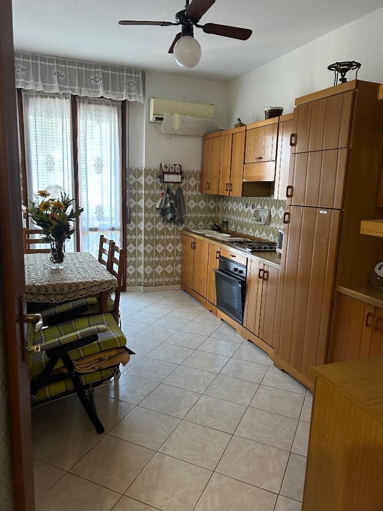 immagine annuncio 2 di 7