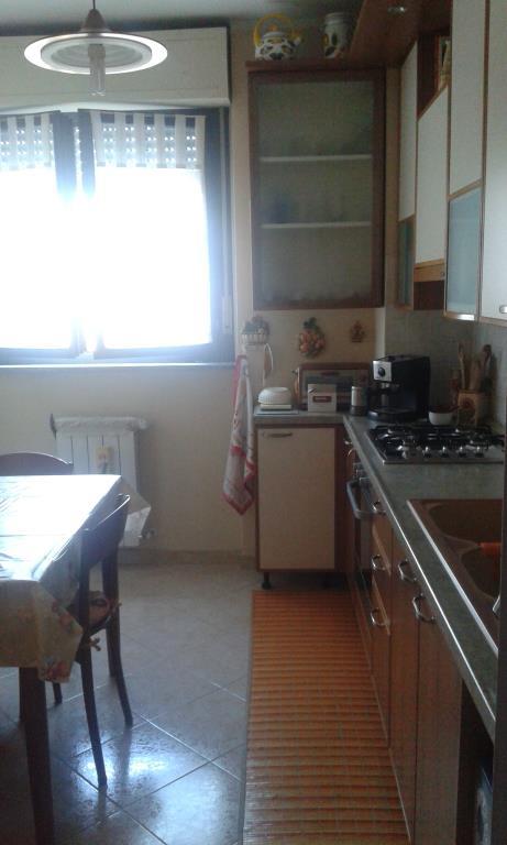 immagine annuncio 4 di 7