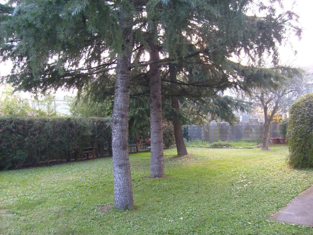 immagine annuncio 3 di 7