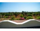 Foto - Villa in Vendita a Carovigno (Brindisi) Foto - Villa in Vendita a Carovigno (Brindisi)